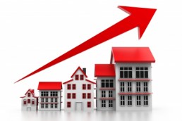 Chinese real estate investors