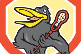 Online Game Marketing for Western Games in China