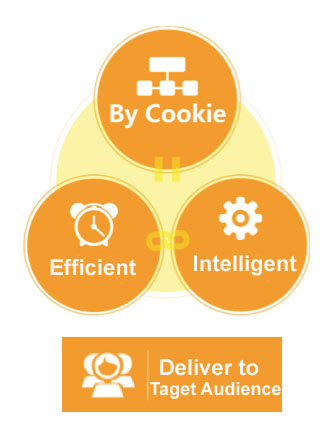 Targeted online advertising in China - Audience Targeting by Cookie